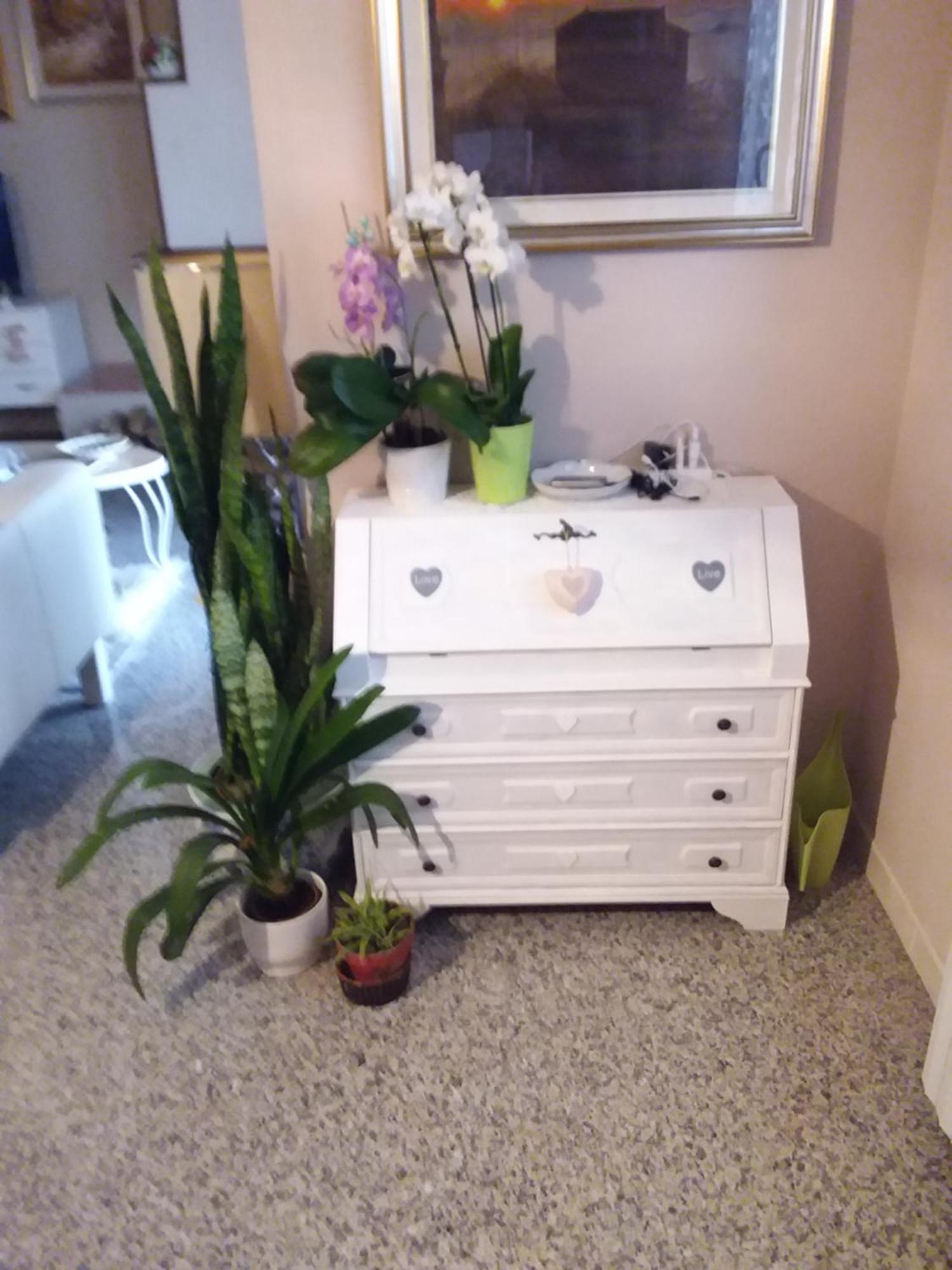 Badia Polesine B&B Amy&Julie المظهر الخارجي الصورة