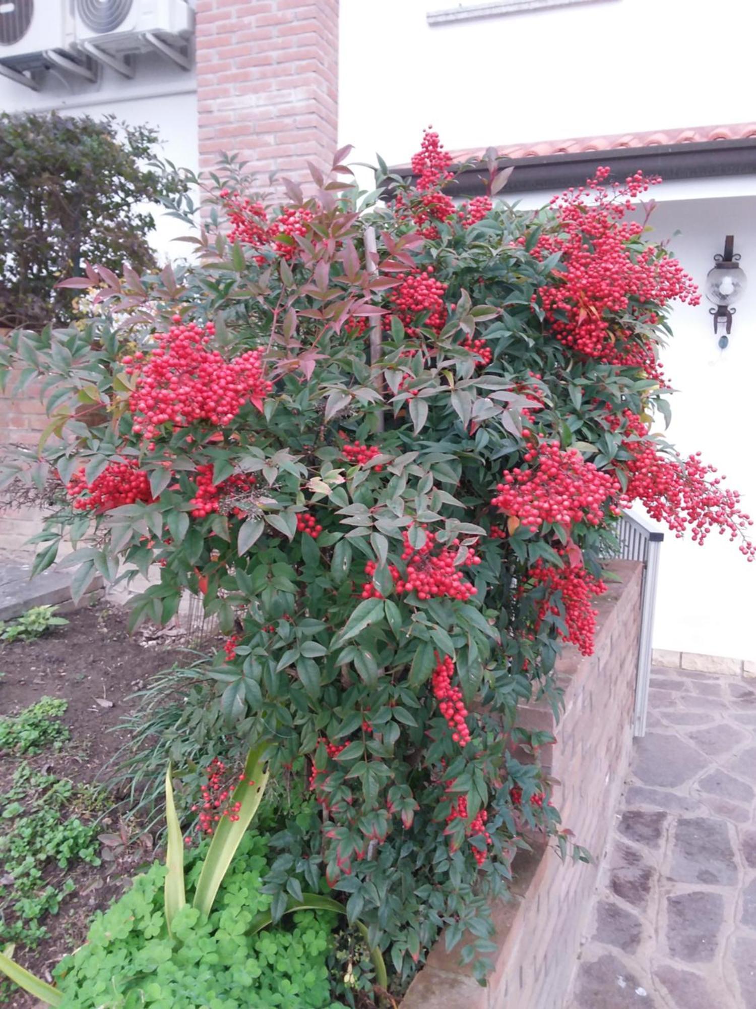 Badia Polesine B&B Amy&Julie المظهر الخارجي الصورة