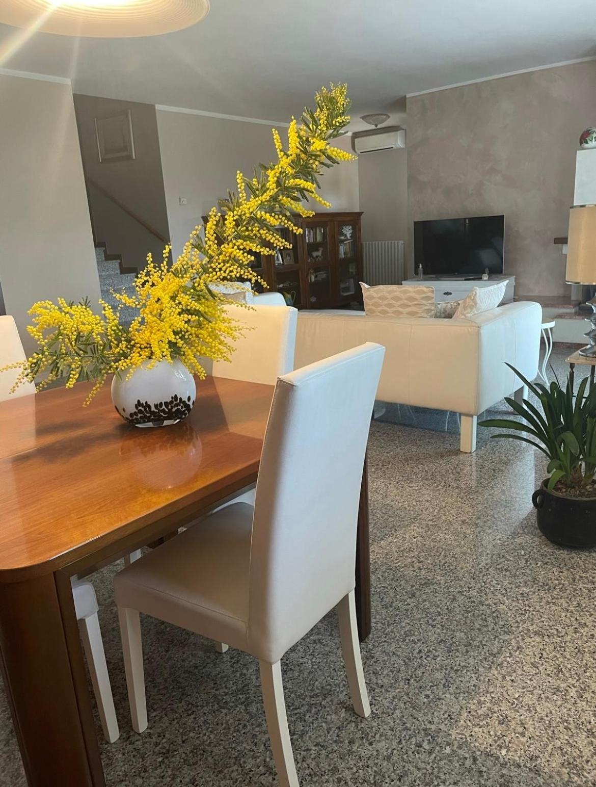 Badia Polesine B&B Amy&Julie المظهر الخارجي الصورة