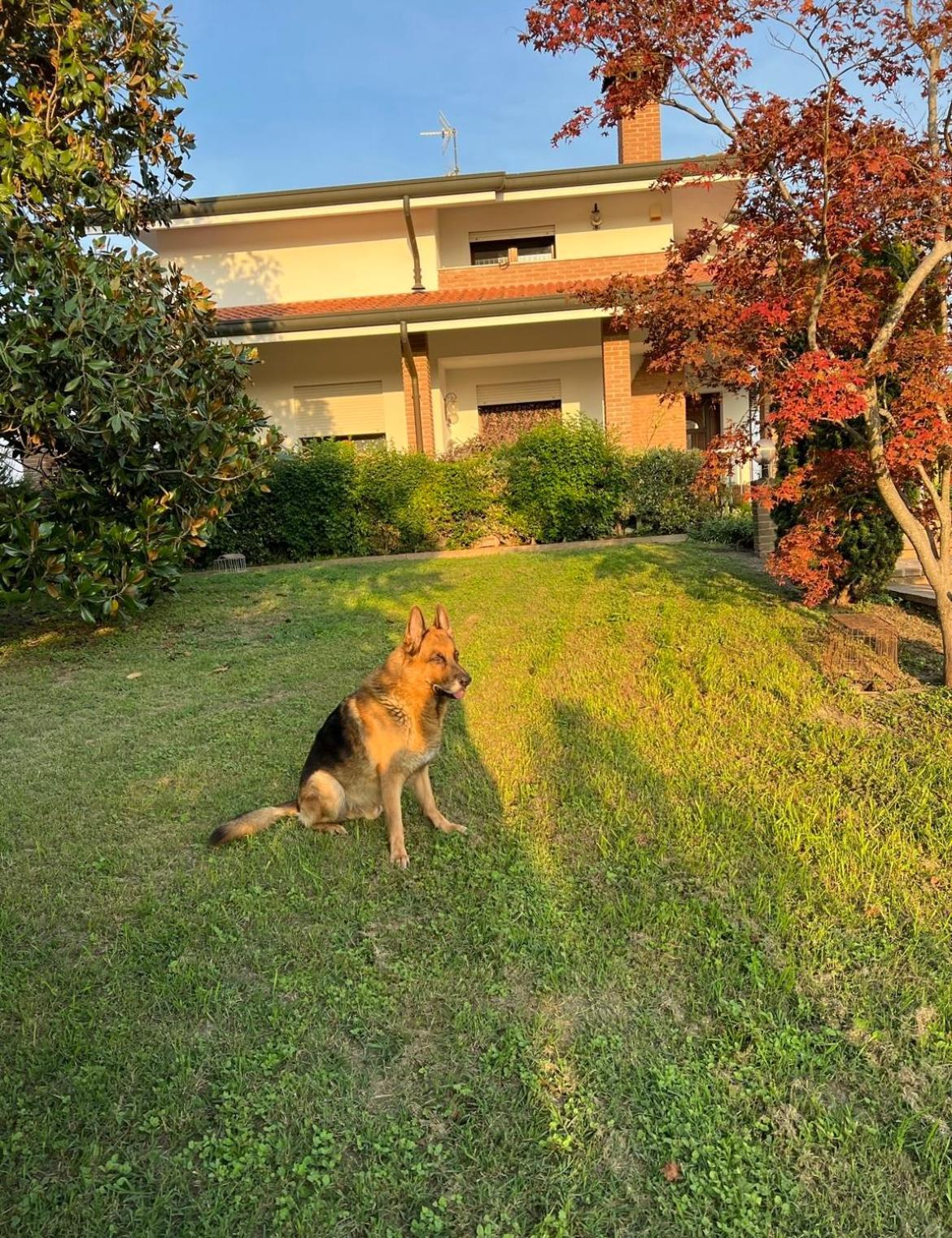 Badia Polesine B&B Amy&Julie المظهر الخارجي الصورة