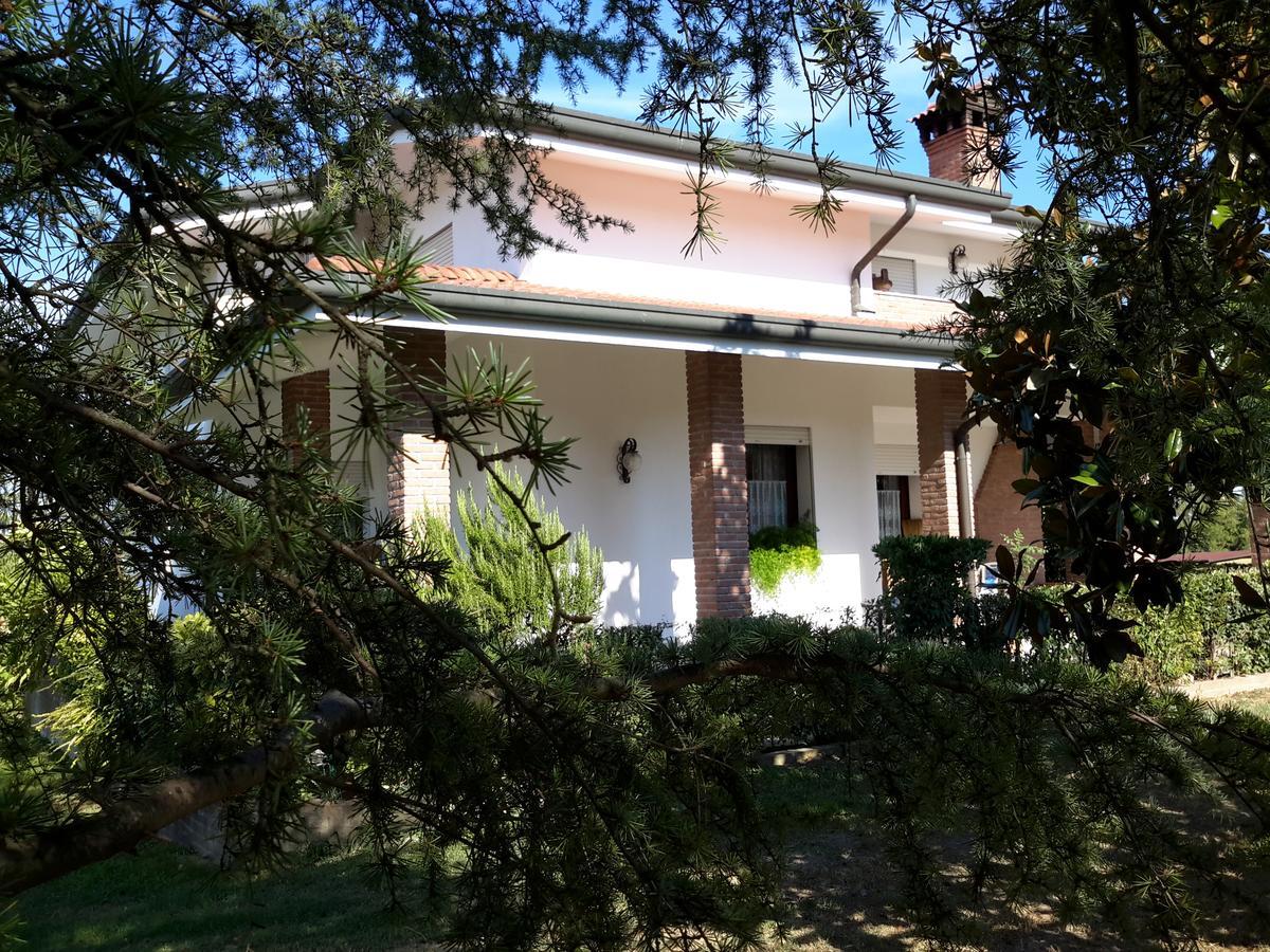 Badia Polesine B&B Amy&Julie المظهر الخارجي الصورة