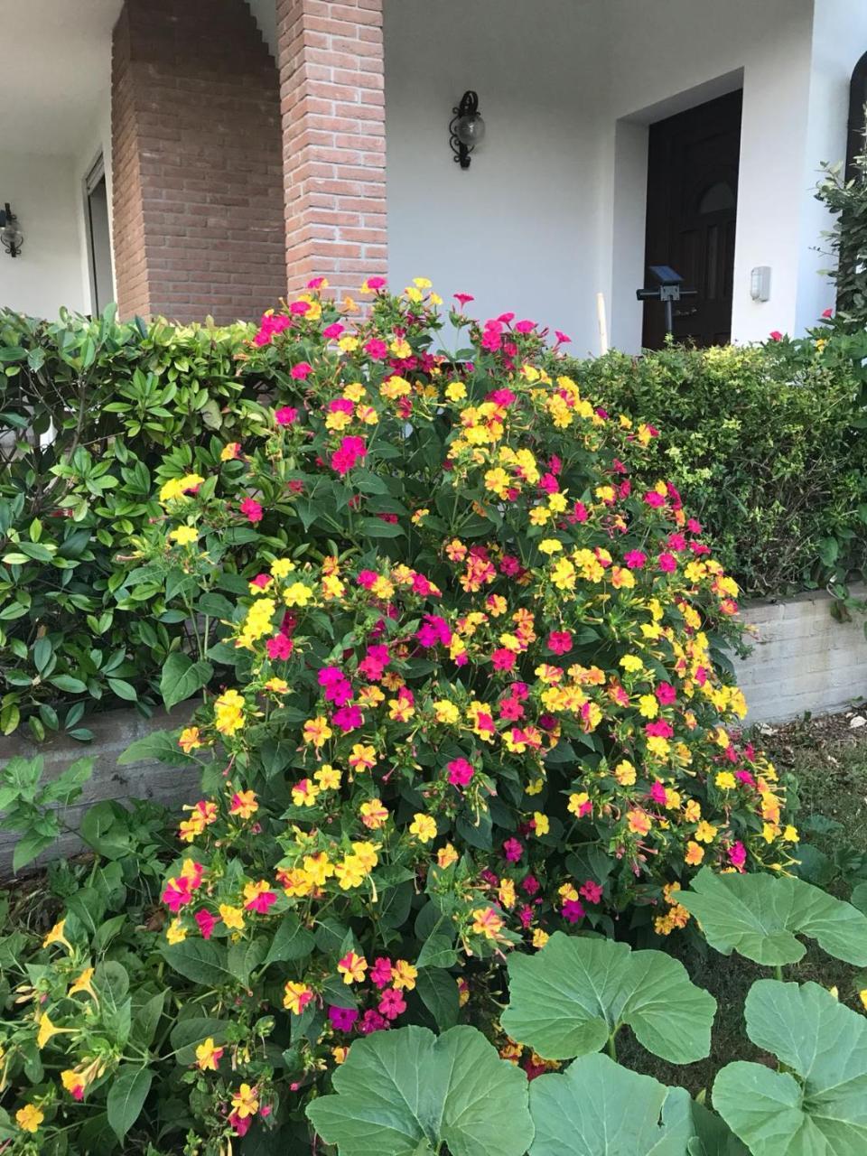 Badia Polesine B&B Amy&Julie المظهر الخارجي الصورة